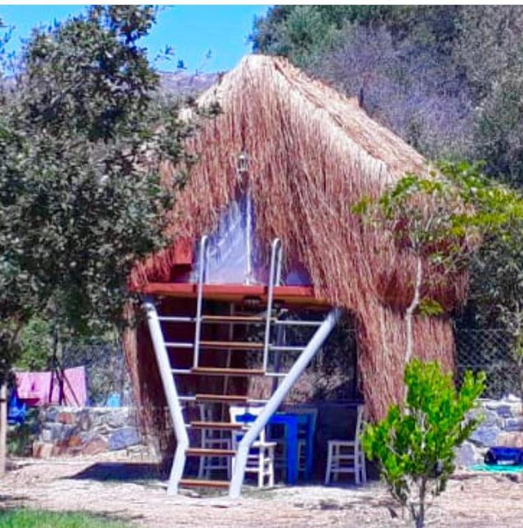 Bodrum Masali Camping Gumusluk Exteriér fotografie