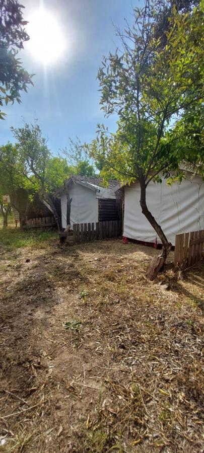 Bodrum Masali Camping Gumusluk Exteriér fotografie