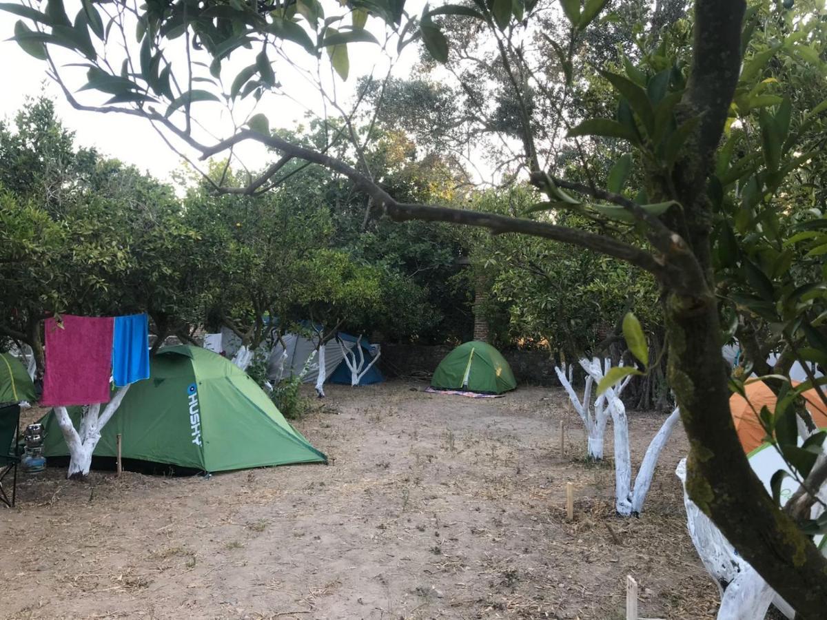 Bodrum Masali Camping Gumusluk Exteriér fotografie